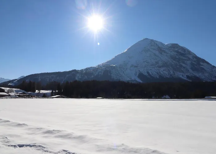 Authentisches لوتاش